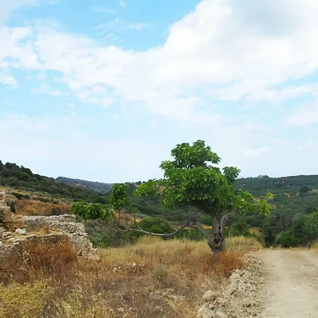 Petrakis Cretan Homes Kíssamos