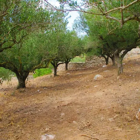 Venkovský dům Petrakis Cretan Homes