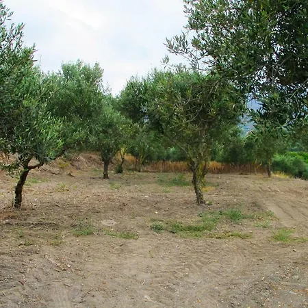 Petrakis Cretan Homes Venkovský dům