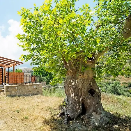 Petrakis Cretan Homes